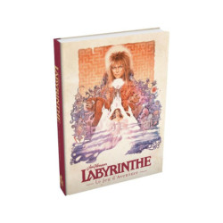 Labyrinthe : le jeu...