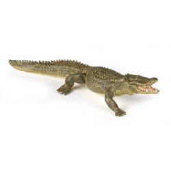 Alligator - PAPO - 50254