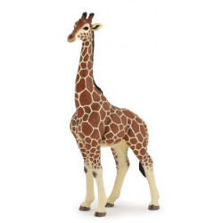 Girafe mâle - PAPO - 50149