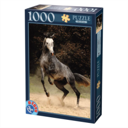 Puzzle 1000 pièces - Cheval...