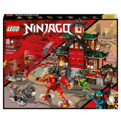 Le temple dojo ninja -...